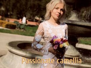 Passionate_camellia