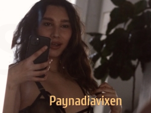 Paynadiavixen