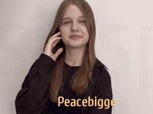 Peacebigge