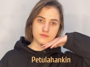 Petulahankin