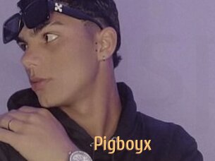 Pigboyx