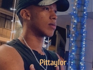 pittaylor Single Spass