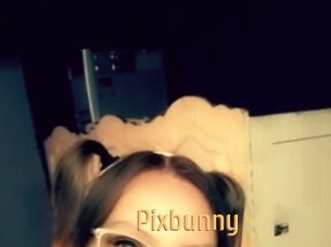 Pixbunny