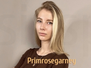 Primrosegarney