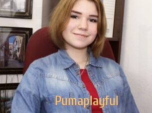 Pumaplayful
