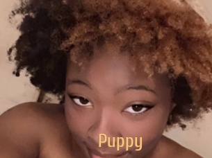 Puppy