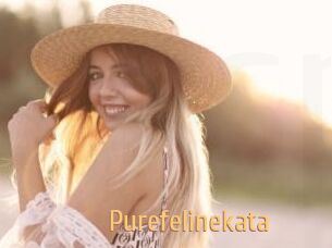 Purefelinekata