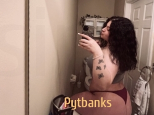 Pytbanks