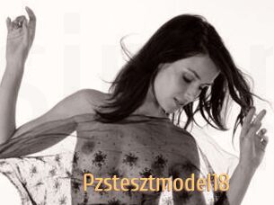 Pzstesztmodel18