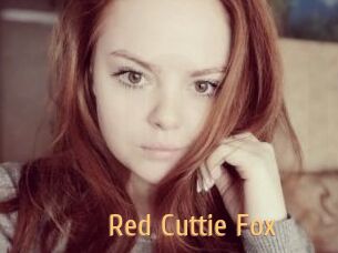 Red_Cuttie_Fox