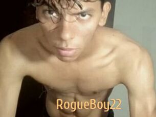 RogueBoy22