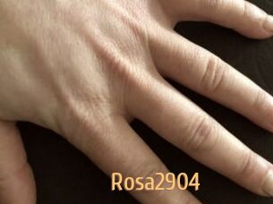 Rosa2904