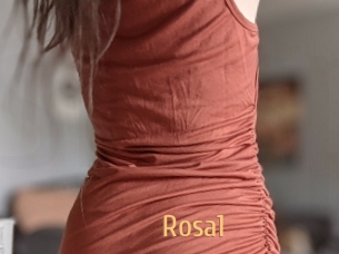 Rosa1