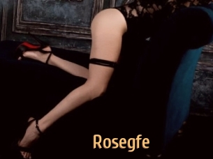 Rosegfe