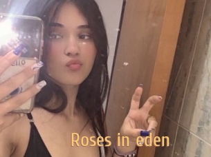 Roses_in_eden