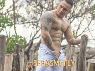 SEBASMCFLY