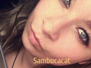Sambucacat
