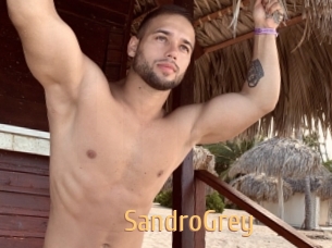 SandroGrey Single Spass