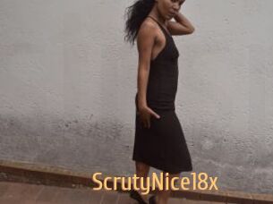 ScrutyNice18x