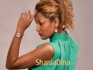 ShaniaDina Single Spass