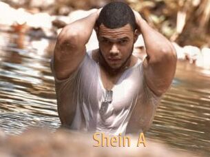 Shein_A