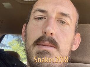 Snakec2018