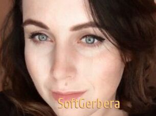 SoftGerbera