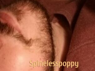 Spinelesspoppy