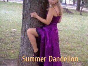 Summer_Dandelion