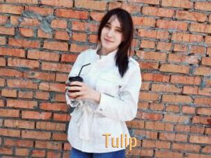 Tulip