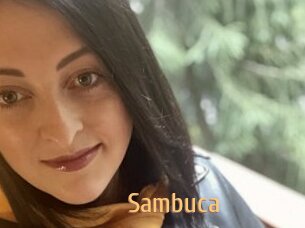 Sambuca