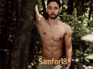 samfor18 Single Spass