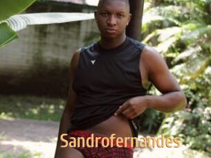 Sandrofernandes
