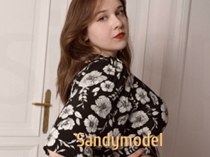 Sandymodel