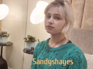 Sandyshayes