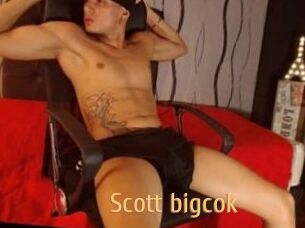 Scott_bigcok