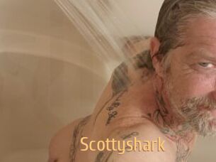 Scottyshark