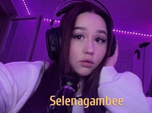 Selenagambee