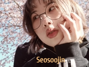 Seosoojin
