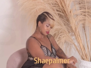 Shaepalmer