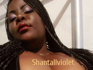 Shantallviolet
