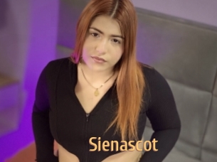 Sienascot