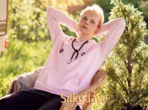 Silkydave