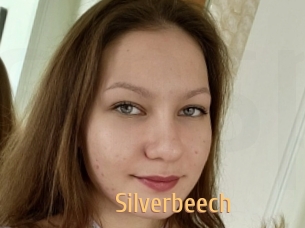 Silverbeech