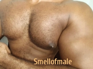 smellofmale Single Spass