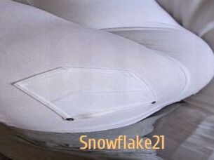 Snowflake21