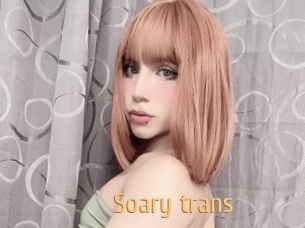 Soary_trans