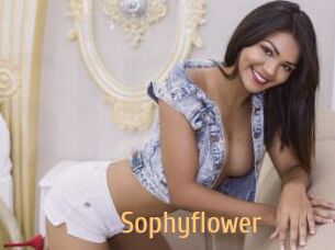Sophyflower