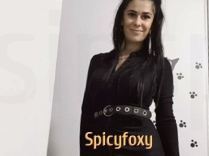 spicyfoxy Single Spass