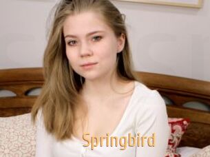 Springbird